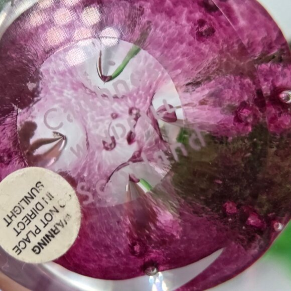 Caithness Glass Windfall Ruby Apple Paperweight Scotland Teacher Nature Decor - Picture 13 of 14